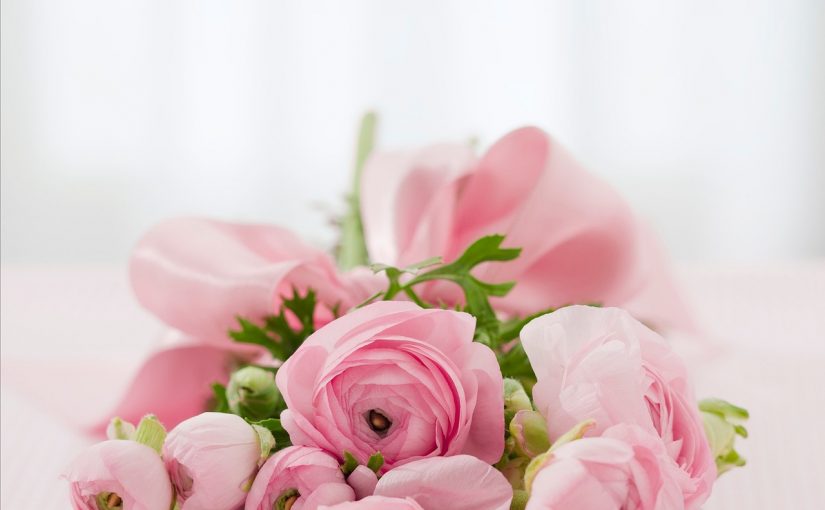 June’s Birth Flower: Embracing Life and Joyful Moments with Roses
