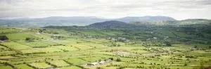 County Armagh Countryside